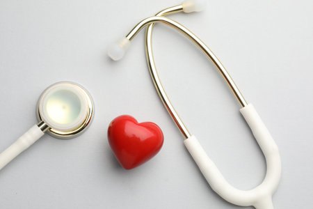 Stethoscope and heart model on light grey background, flat lay