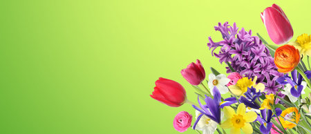 Bouquet of spring flowers on green background, banner design. Space for text