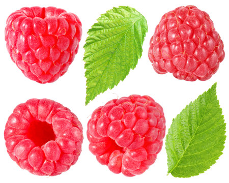 Fresh raspberries and green leaves isolated on white, set