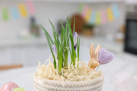 Crocus flower and Easter decor in kitchen, closeup