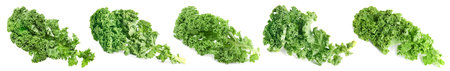 Fresh green kale leaves isolated on white, set