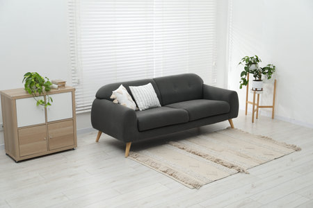 Comfortable sofa, cabinet and houseplants indoors. Interior design