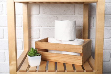 Toilet paper rolls and houseplant on wooden shelf in restroom, closeupの写真素材