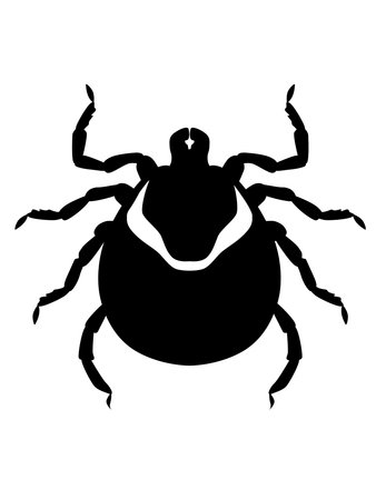 One tick on white background. Illustration of insects
