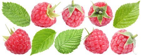 Fresh raspberries and green leaves isolated on white, set