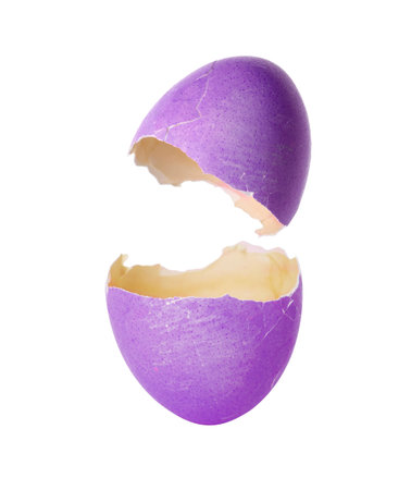 Easter egg. Cracked dyed eggshell on white backgroundの写真素材