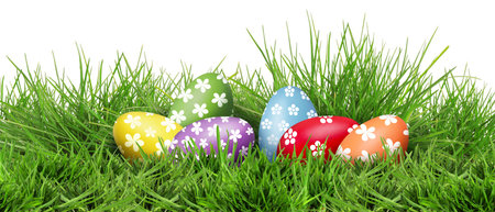 Easter eggs in green grass against white background