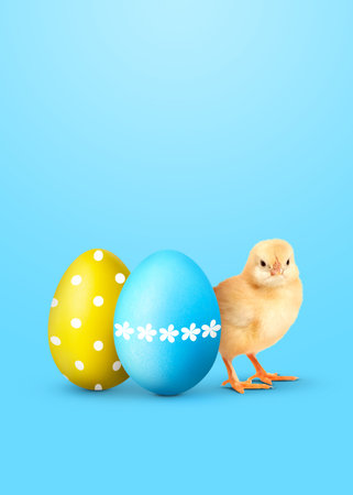 Easter eggs and cute fluffy chick on light blue gradient background