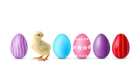 Easter eggs and cute fluffy chick on white background