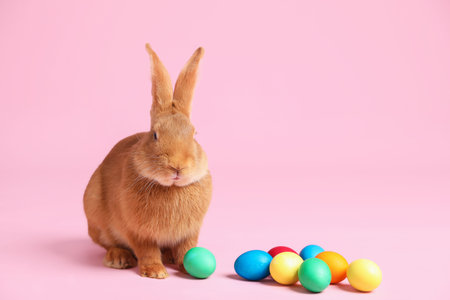 Cute fluffy Easter bunny and painted eggs on pink background, space for text