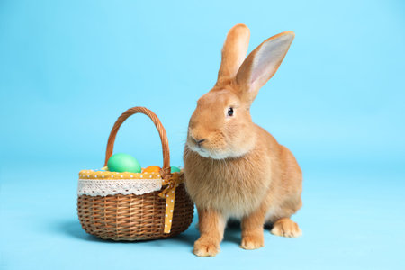 Cute fluffy Easter bunny and wicker basket with painted eggs on light blue background