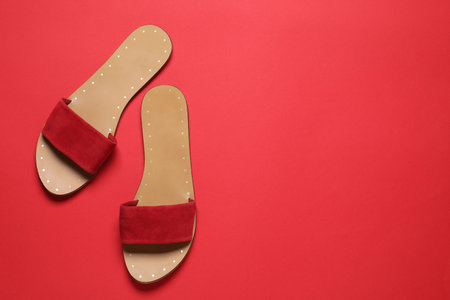 Pair of stylish slipper shoes on red background, flat lay. Space for text