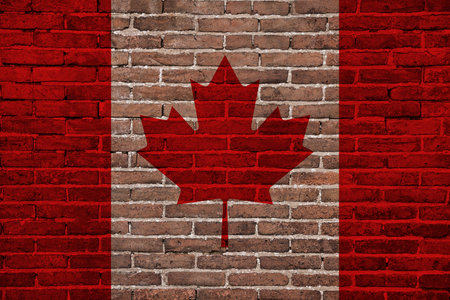 Maple leaf on brick wall as backgroundの写真素材