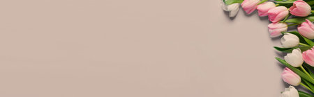 Beautiful tulips on gray background, top view. Banner design with space for textの写真素材