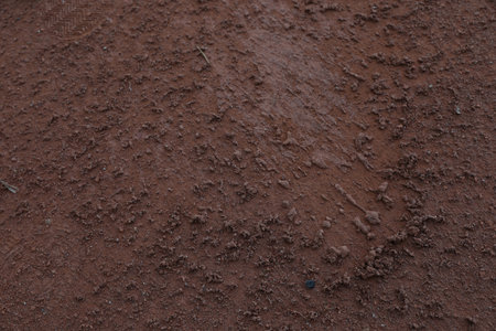 Textured ground surface as background, closeup view