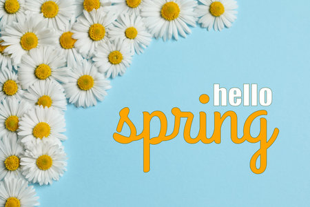 Hello Spring poster with daisy flowers on light blue background, top view
