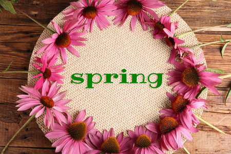Spring poster or card with echinacea flowers on wooden background, top viewの写真素材