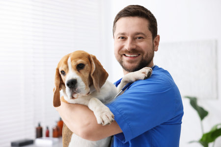 Portrait of smiling veterinarian in scrubs with cute dog in clinic