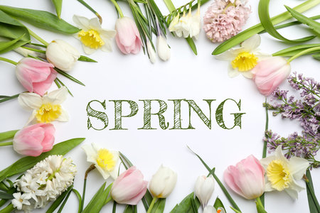 Spring poster with seasonal flowers on white background, top viewの写真素材