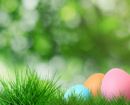 Easter eggs in green grass against blurred background