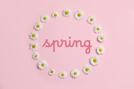 Spring poster with daisy flowers on pink background, top viewの写真素材