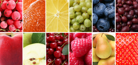 Various fruits and berries, collection. Closeup viewの写真素材
