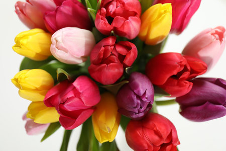 Beautiful bouquet of colorful tulips on white background, closeup