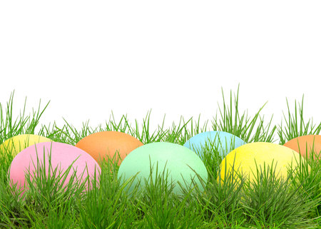 Easter eggs in green grass against white background