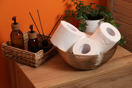 Toilet paper rolls, soap, aroma diffuser and houseplant on wooden shelf