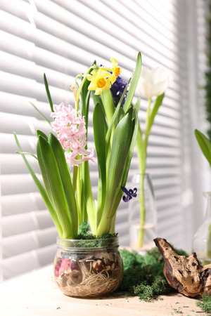 Beautiful spring flowers on wooden table indoors, closeup