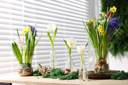Beautiful spring flowers in vases on wooden table indoors