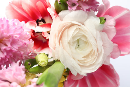 Beautiful spring flowers on white background, closeup