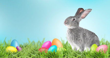 Easter eggs and fluffy bunny on green grass against light blue background. Banner design