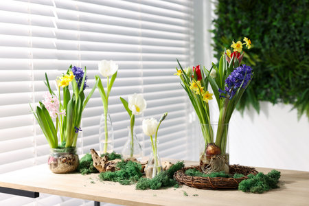 Beautiful spring flowers in vases on wooden table indoors