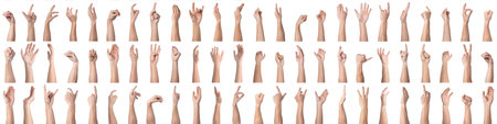 Large set of male hands on white background