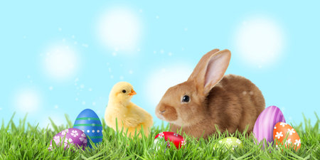 Easter eggs, fluffy bunny and chick on green grass against light blue background. Banner design