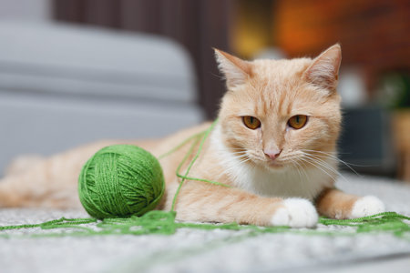 Cute ginger cat with ball of yarn on rug indoors, closeup