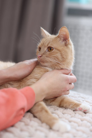 Woman with cute ginger cat on blanket indoors, closeupの写真素材