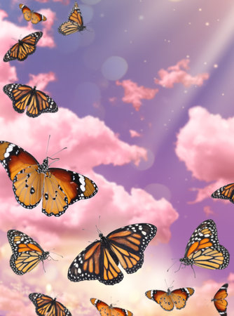 Butterflies flying against colorful clouds in bright skyの写真素材