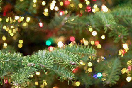 Beautiful Christmas tree with festive lights, closeup