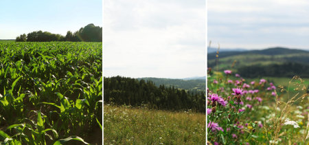 Set of fields under beautiful sky. Nature landscape