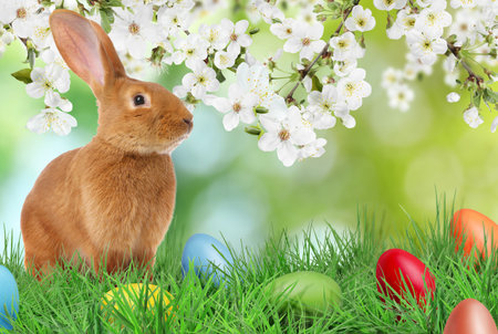 Easter bunny and bright eggs on green grass under blossoming tree branches outdoors