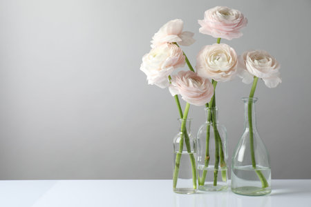 Beautiful ranunculus flowers in glass bottles on white table against grey background, closeup. Space...