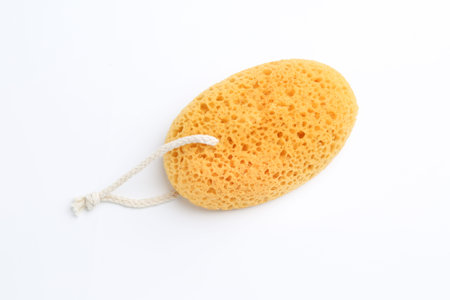 One sponge on white background, top view. Shower accessory