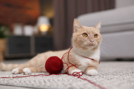 Cute ginger cat with ball of yarn on rug indoors, closeup