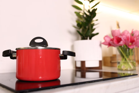 Potted houseplants on countertop in kitchen, focus on pot