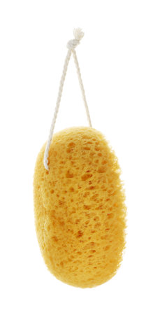 One yellow sponge isolated on white. Shower accessory