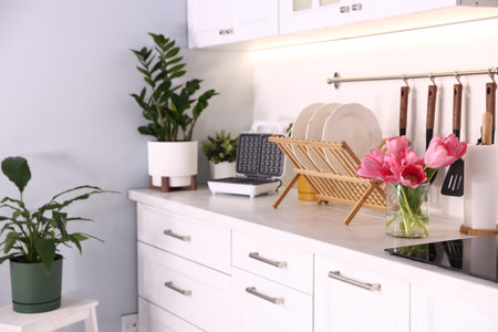 Stylish kitchen with potted houseplants on countertop. Interior designの写真素材