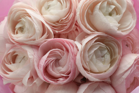 Bouquet of beautiful ranunculus flowers as background, closeup