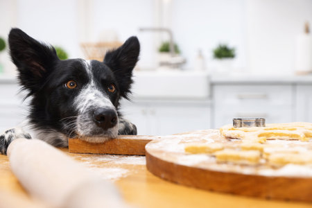 Cute dog near board with raw bone shaped cookies on wooden table in kitchen